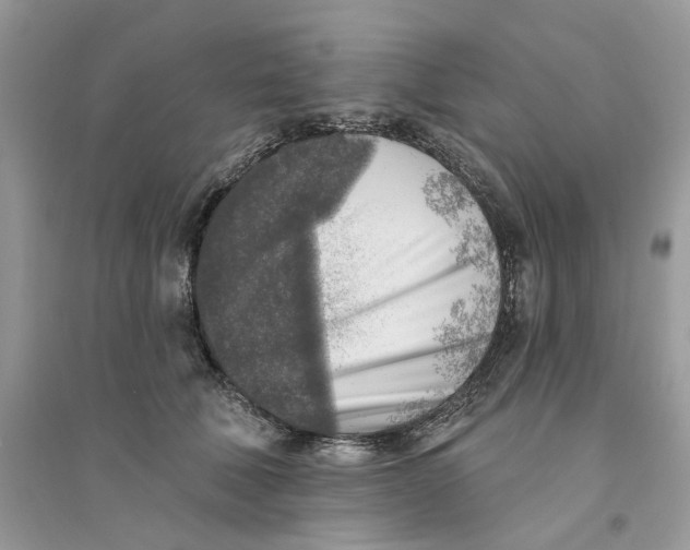 X0000094460610200711291723