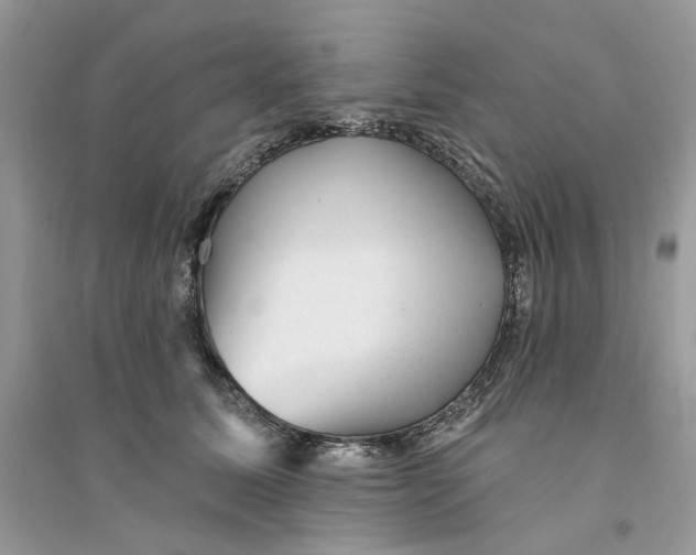 X0000094460611200711291723