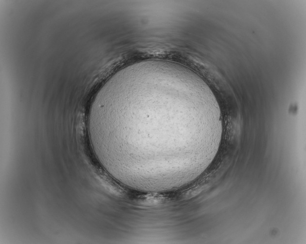 X0000094460612200711291723