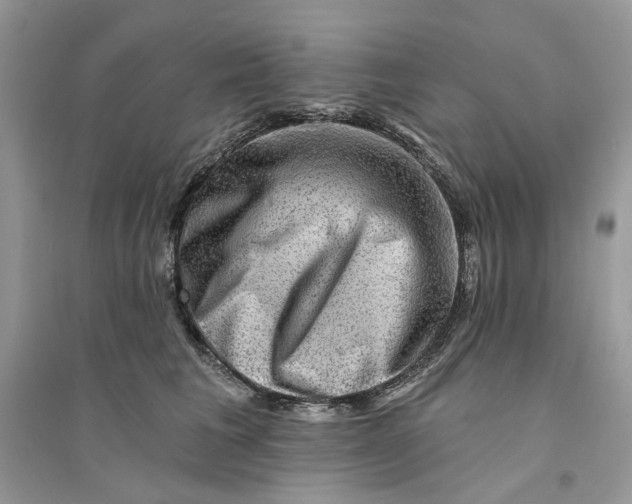 X0000094460613200711291723