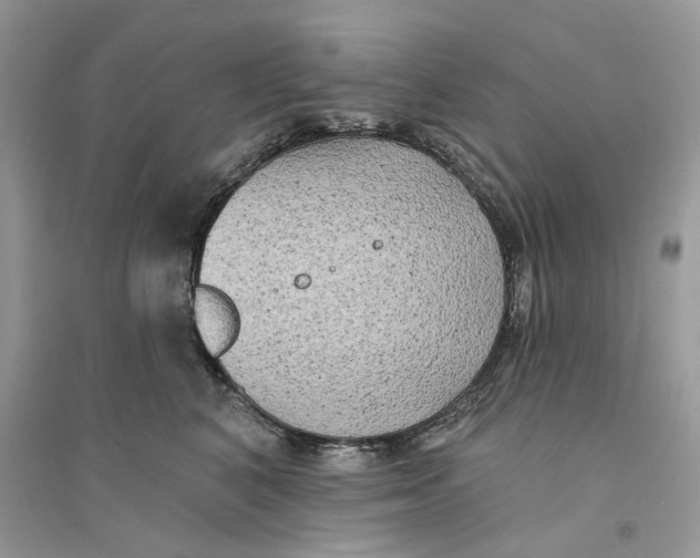 X0000094460616200711291723