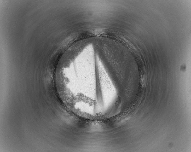 X0000094460618200711291723