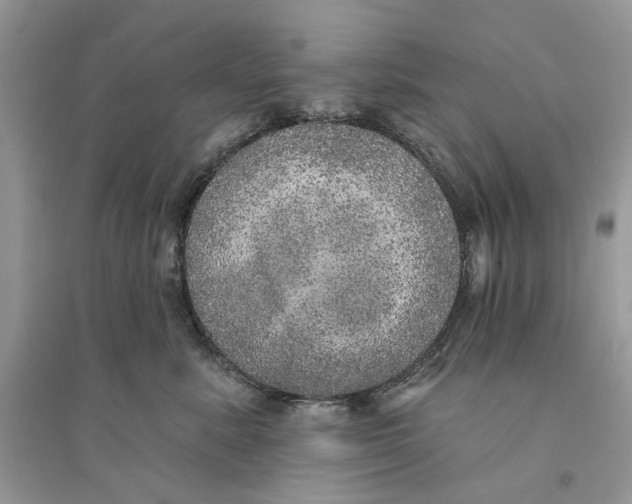 X0000094460619200711291723