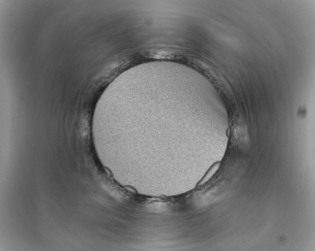 X0000094460620200711291723