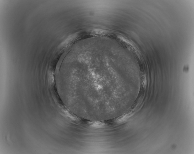 X0000094460621200711291723