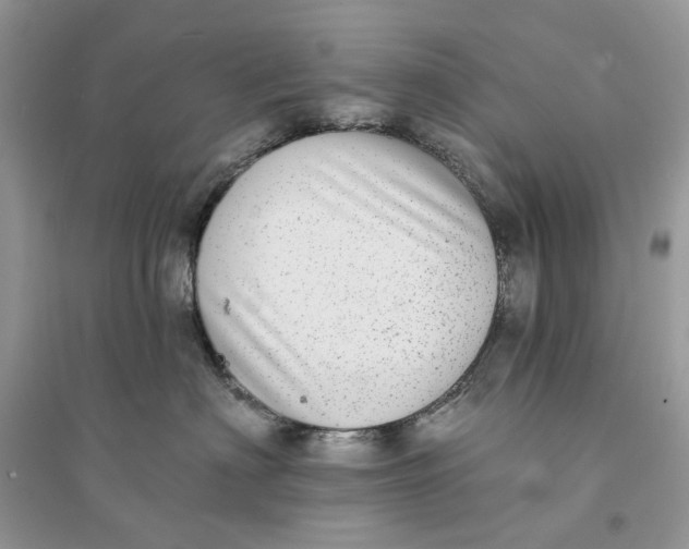 X0000094460622200711291723