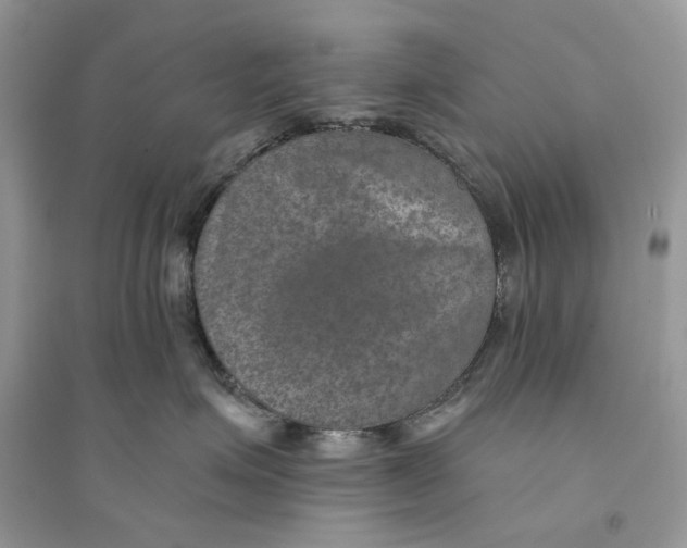 X0000094460623200711291723