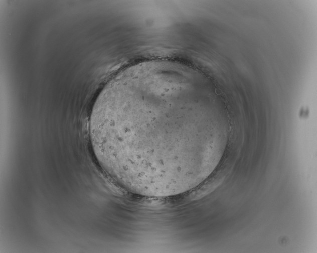 X0000094460624200711291723