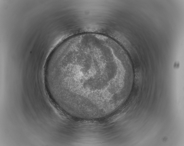 X0000094460626200711291722