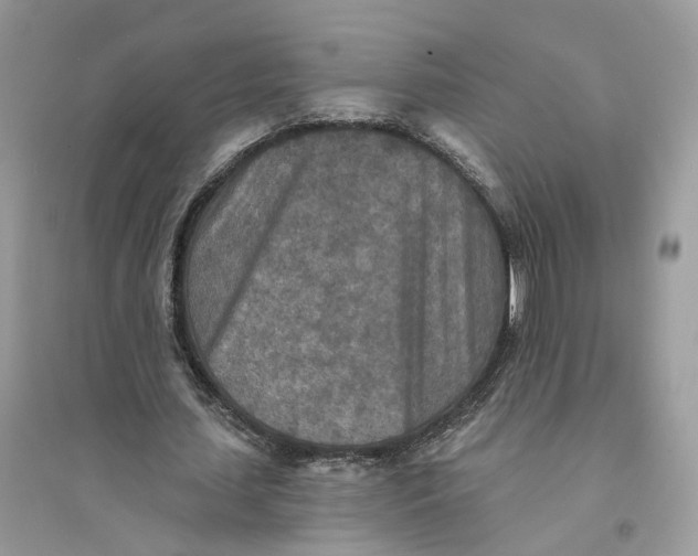 X0000094460627200711291722