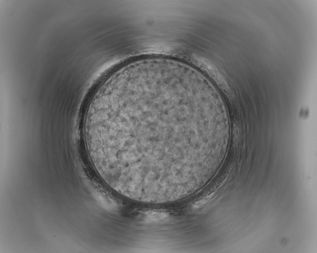 X0000094460628200711291722