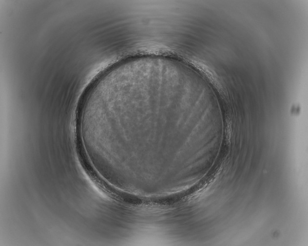 X0000094460630200711291722