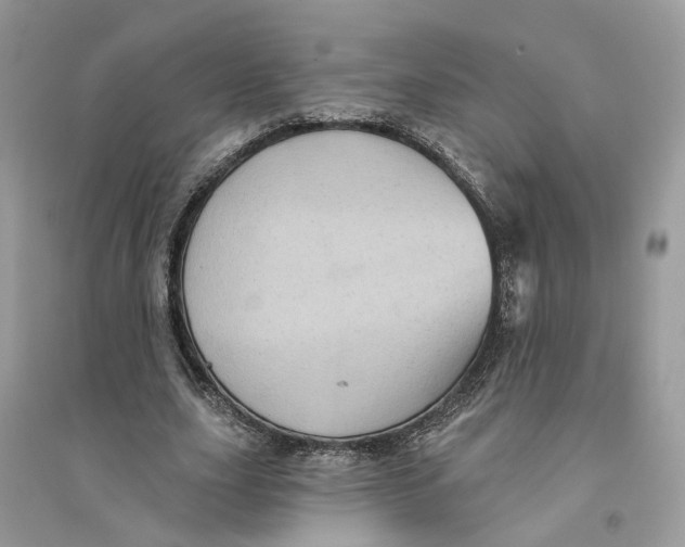 X0000094460631200711291722