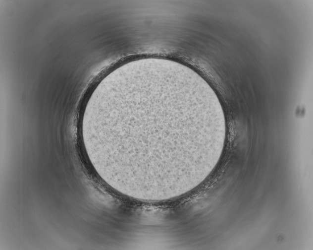 X0000094460632200711291722