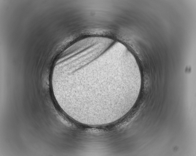 X0000094460633200711291722