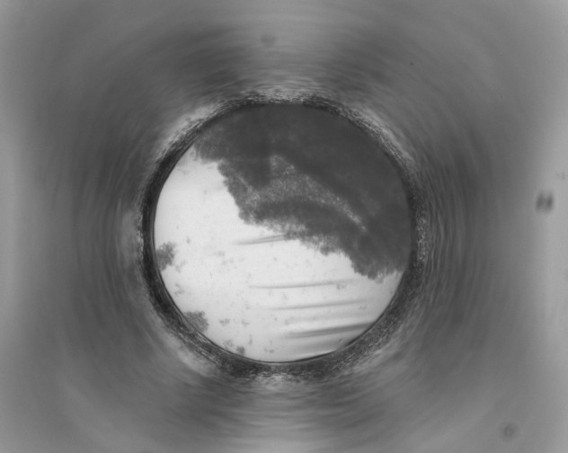 X0000094460634200711291722