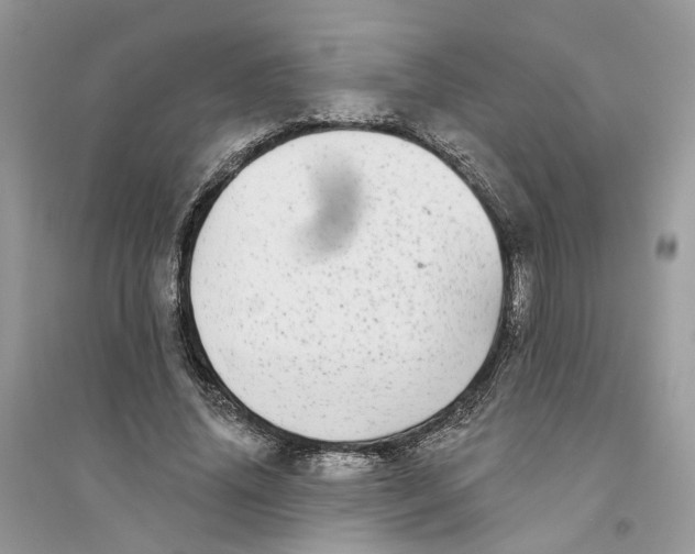 X0000094460636200711291722