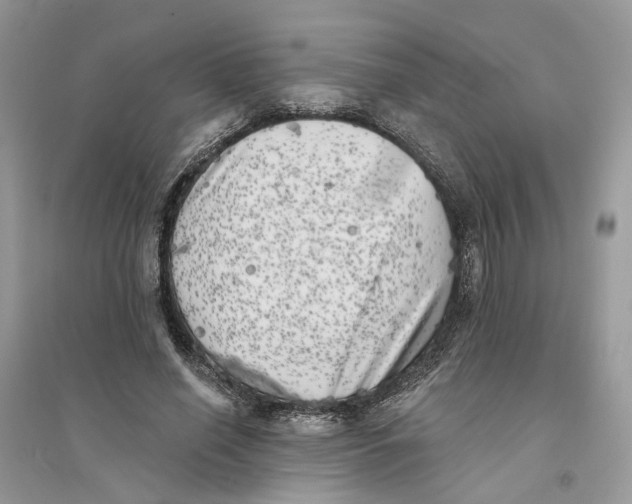 X0000094460638200711291722