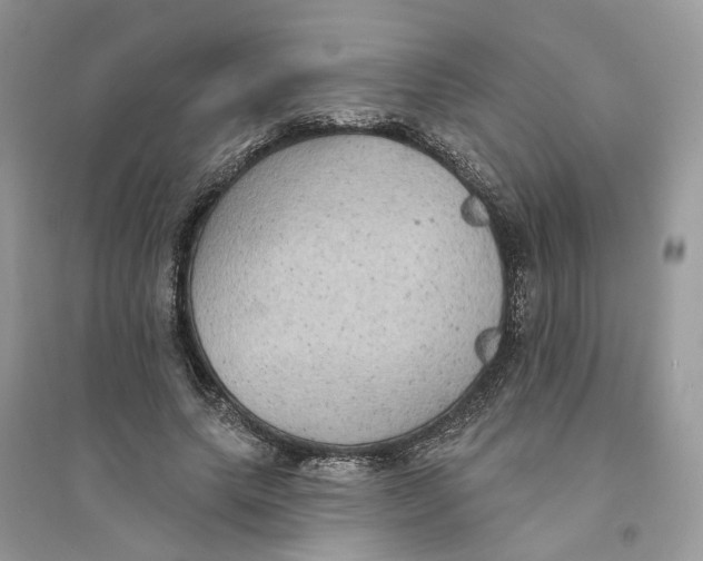 X0000094460639200711291722