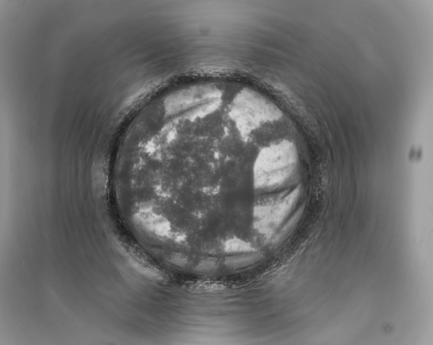 X0000094460640200711291722