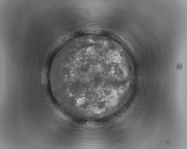 X0000094460641200711291722