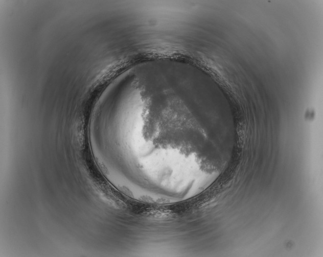 X0000094460642200711291722