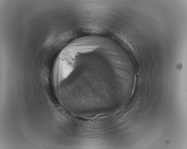 X0000094460643200711291722