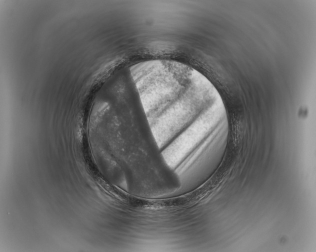 X0000094460644200711291722