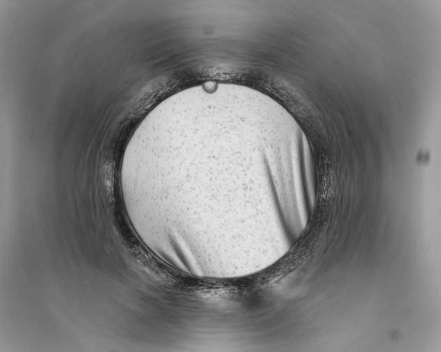 X0000094460646200711291722