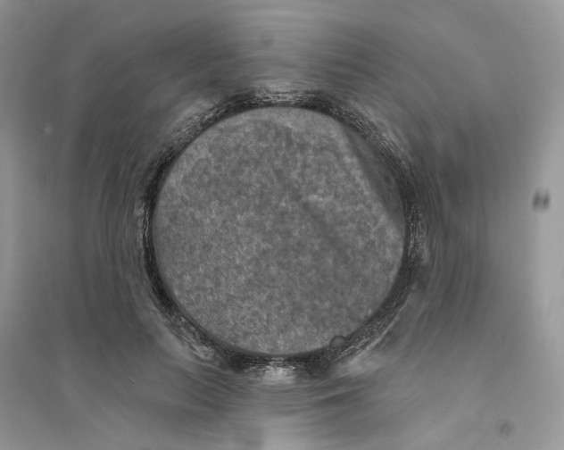 X0000094460647200711291722