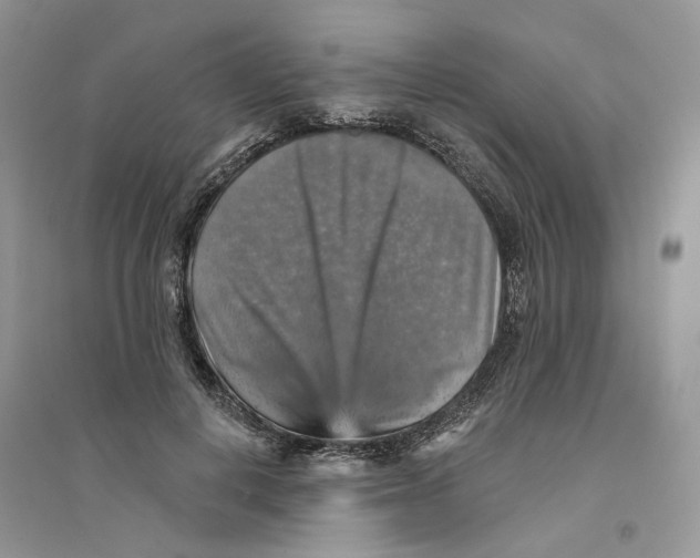 X0000094460648200711291723