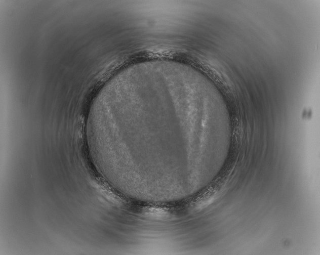 X0000094460649200711291723