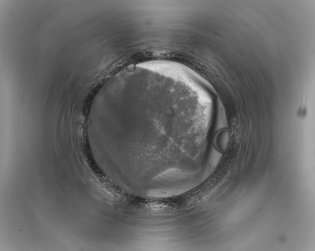 X0000094460650200711291723