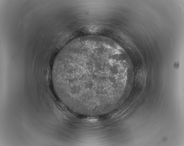 X0000094460651200711291723