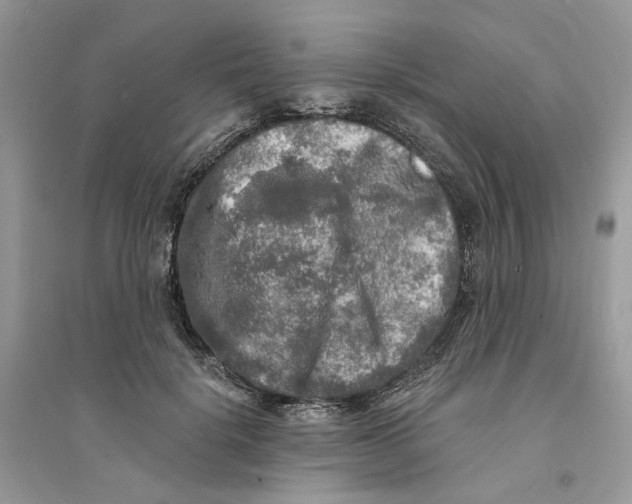 X0000094460652200711291723