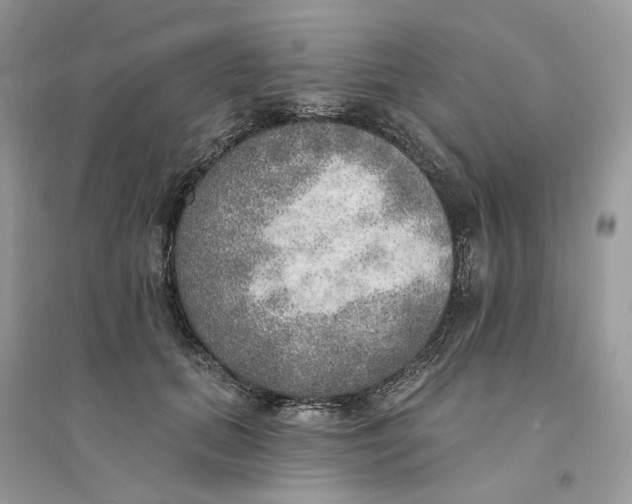 X0000094460655200711291723