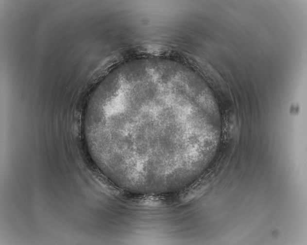 X0000094460656200711291723