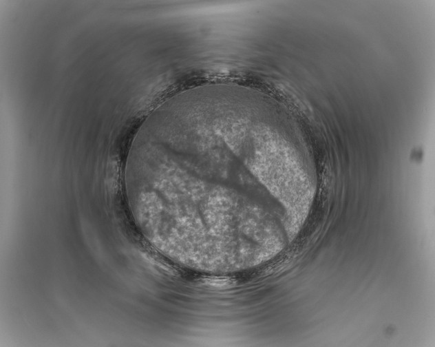 X0000094460659200711291723