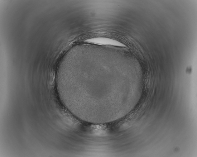 X0000094460660200711291723