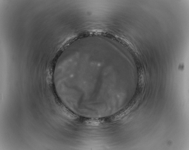 X0000094460661200711291723