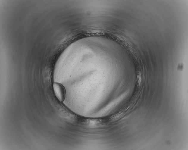 X0000094460662200711291723