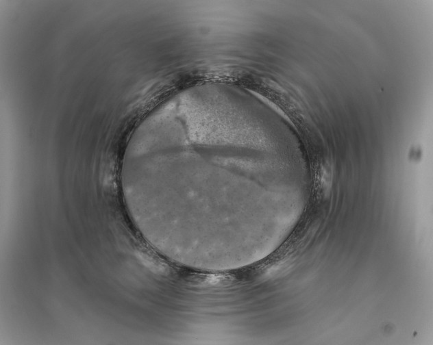 X0000094460663200711291723