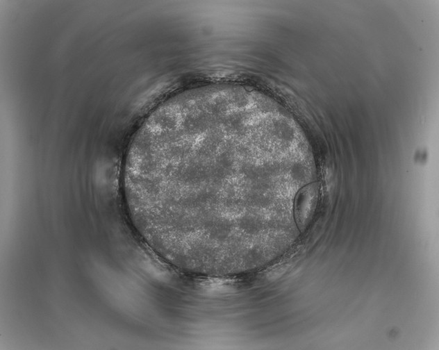 X0000094460664200711291723