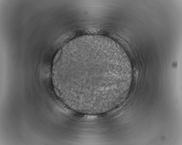 X0000094460665200711291723