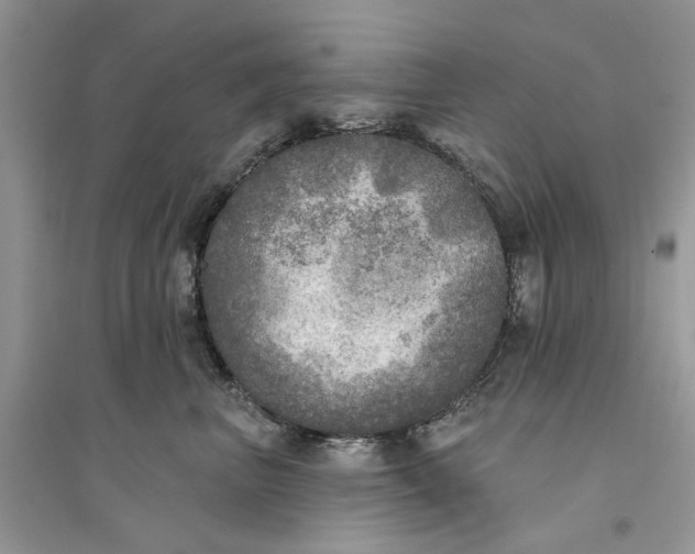 X0000094460667200711291723