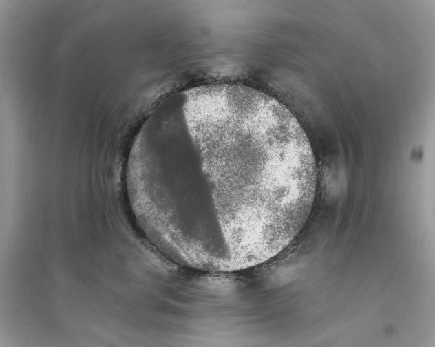 X0000094460668200711291723