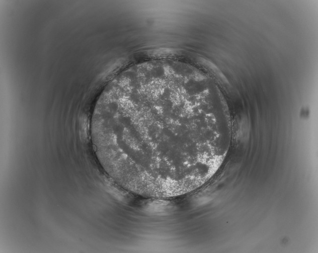 X0000094460669200711291723