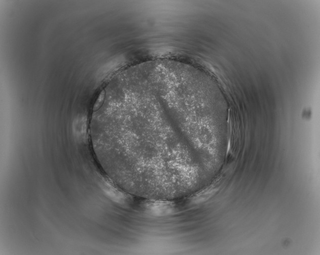 X0000094460670200711291723