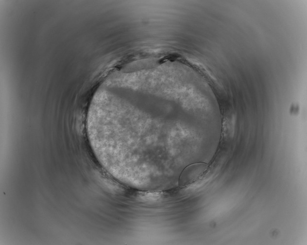 X0000094460671200711291723