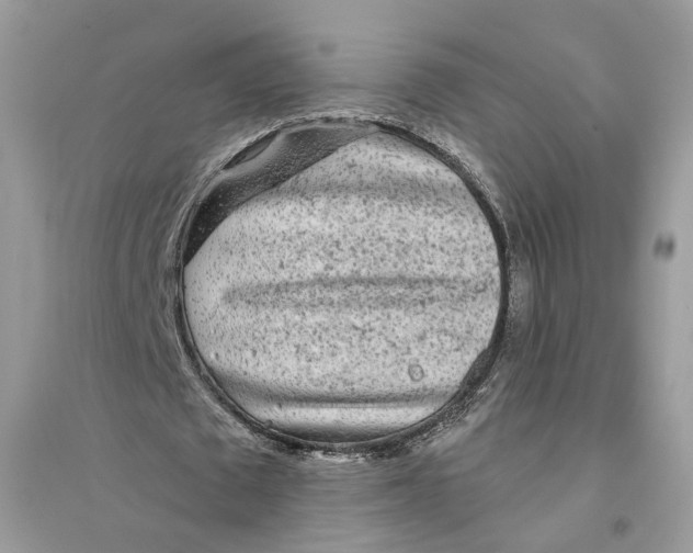 X0000094460673200711291722